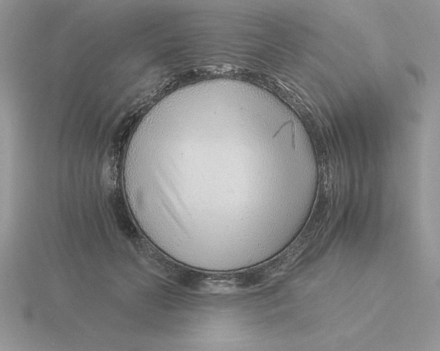 X0000115820606200912111253