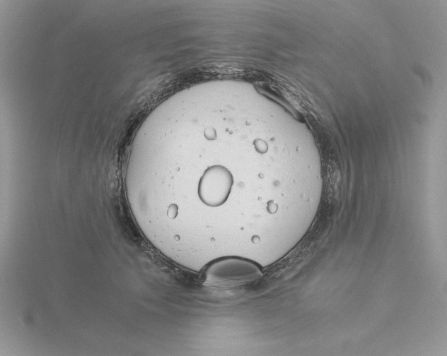 X0000115820609200912111253