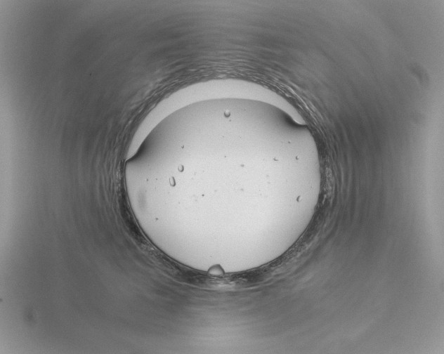 X0000115820613200912111253