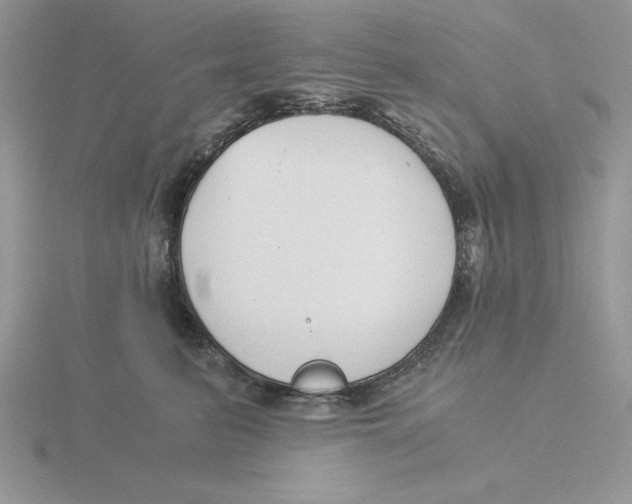 X0000115820615200912111253