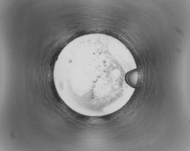 X0000115820617200912111253