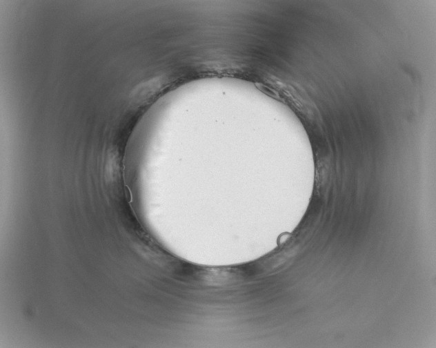 X0000115820623200912111252