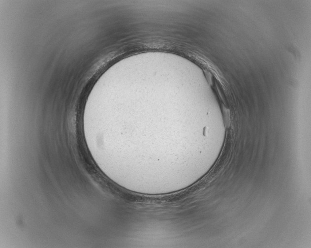 X0000115820626200912111252