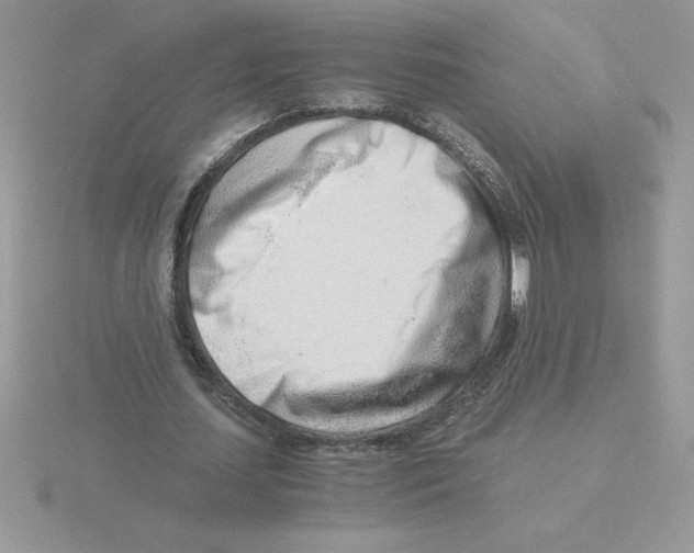 X0000115820627200912111252