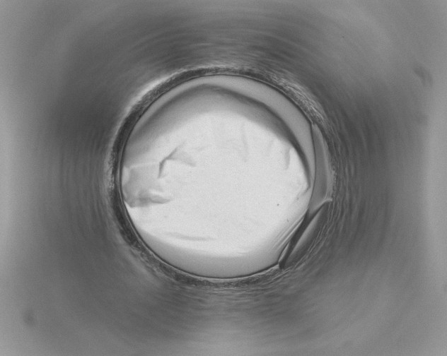 X0000115820628200912111252