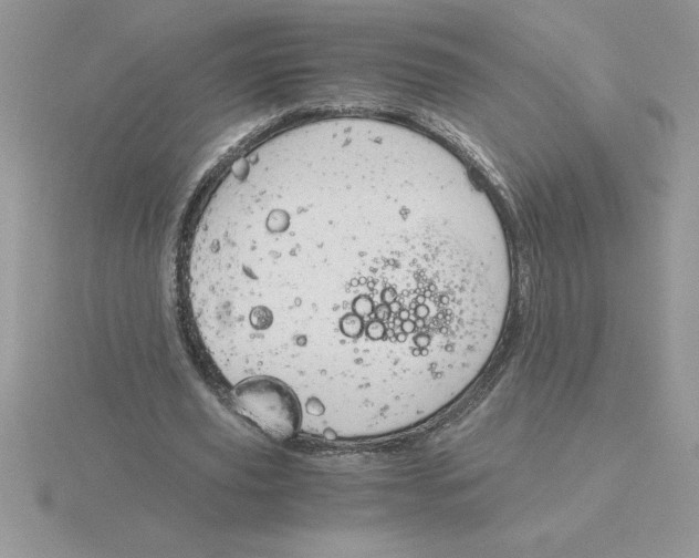 X0000115820629200912111252