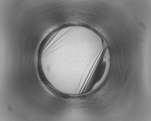 X0000115820630200912111252