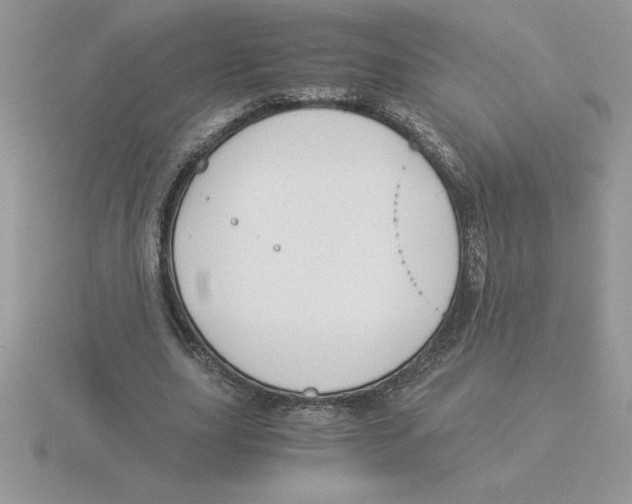 X0000115820631200912111252