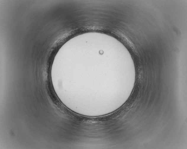 X0000115820635200912111252