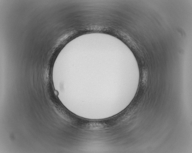 X0000115820636200912111252