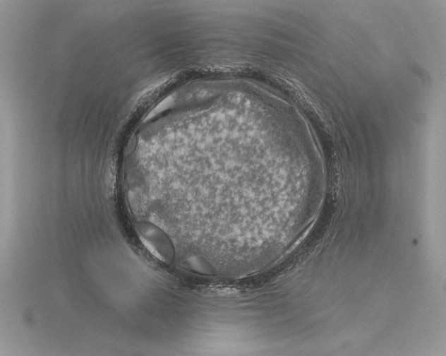 X0000115820640200912111252