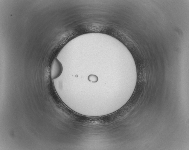 X0000115820646200912111252