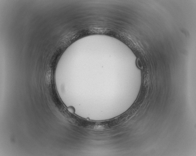 X0000115820647200912111252