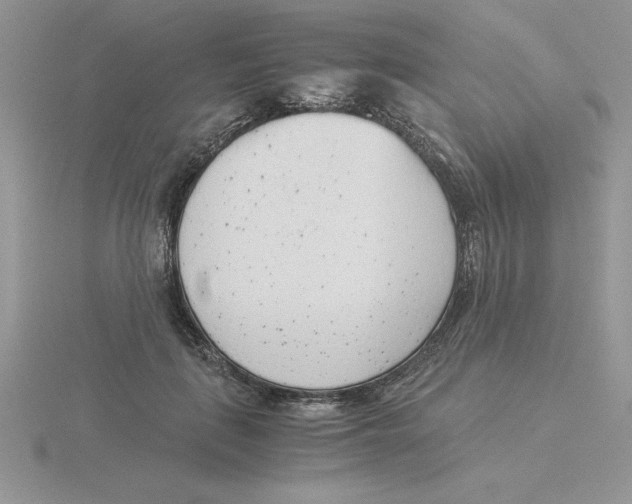 X0000115820651200912111252