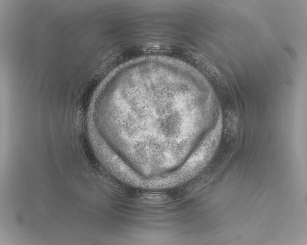 X0000115820659200912111252