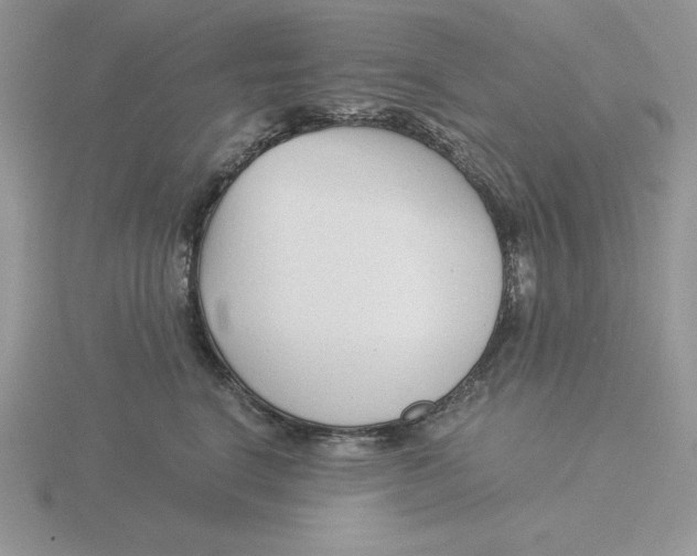 X0000115820664200912111252