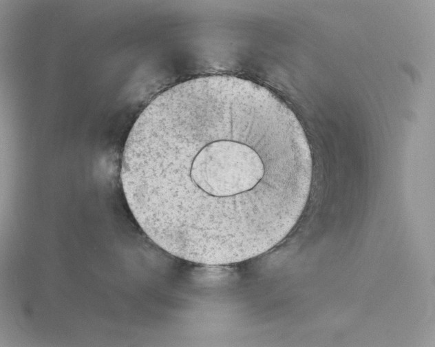 X0000115820672200912111252