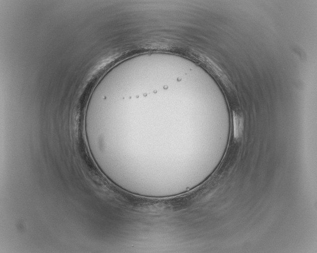 X0000115820675200912111252