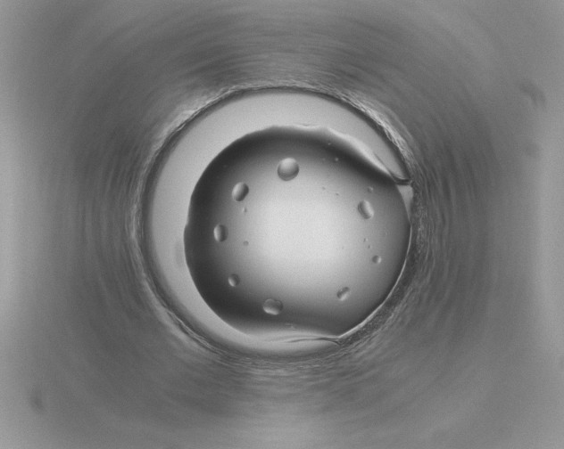 X0000115820677200912111252