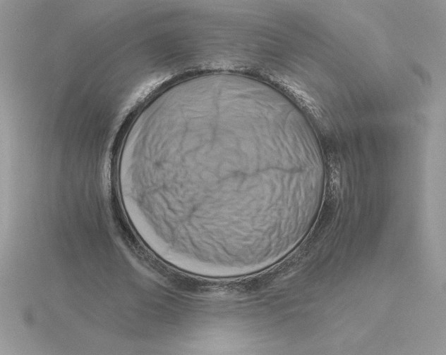 X0000115820678200912111252