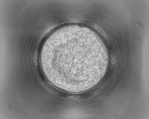 X0000115820680200912111252