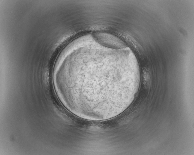 X0000115820684200912111252