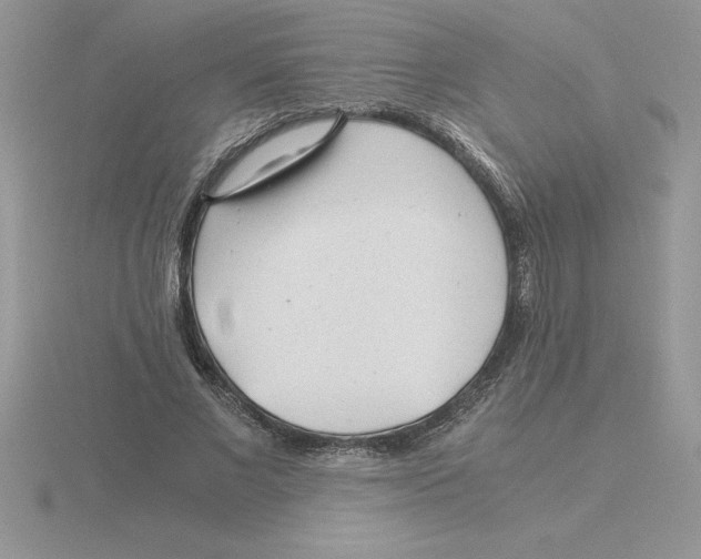 X0000115820685200912111252