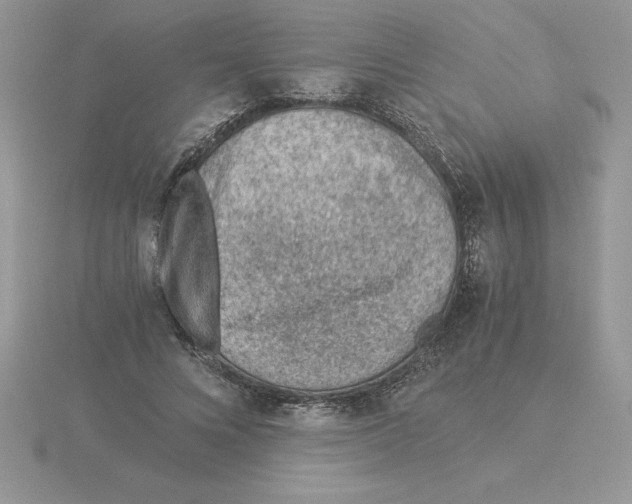 X0000115820688200912111252