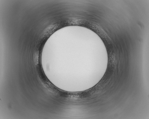 X0000115820694200912111252