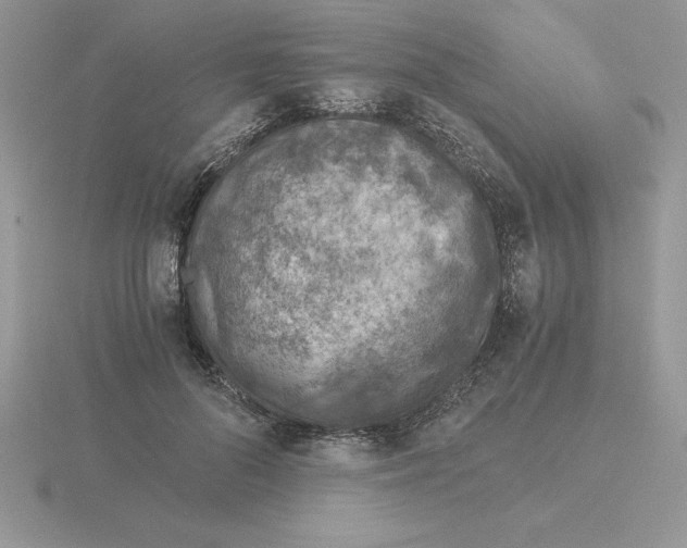 X0000115820696200912111252