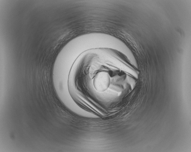 X0000115820697200912111251