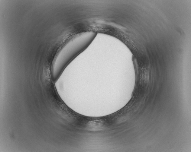 X0000115820700200912111251