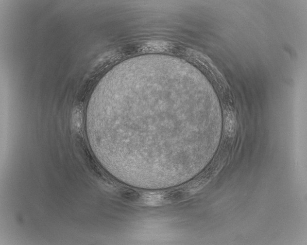 X0000115820701200912111251