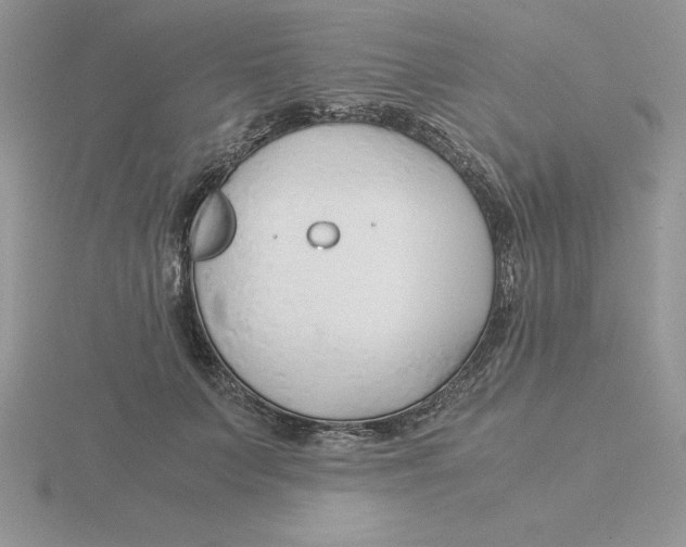 X0000115820703200912111251