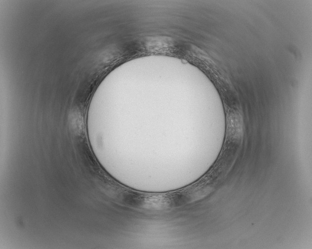 X0000115820705200912111251