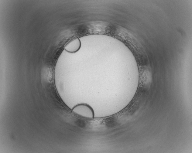 X0000115820709200912111251