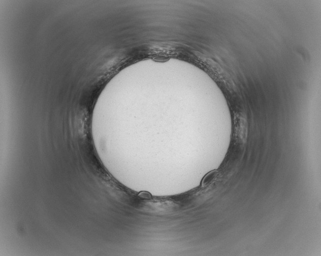 X0000115820712200912111251