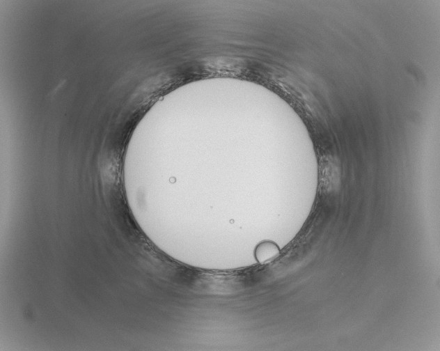 X0000115820713200912111251