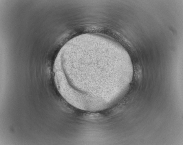 X0000115820716200912111251