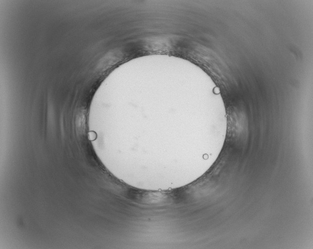 X0000115820717200912111251