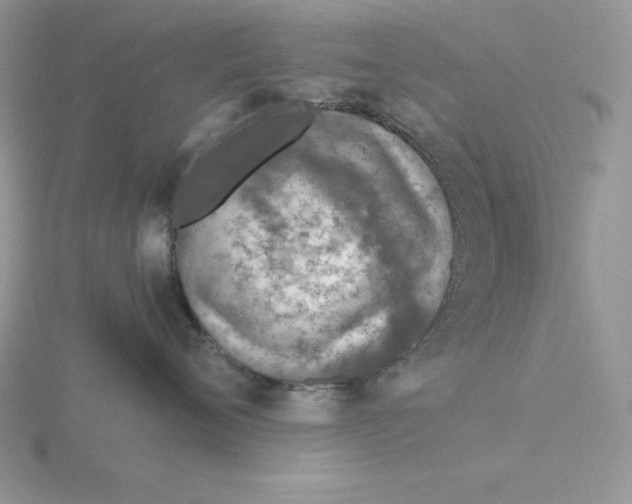 X0000115820720200912111251