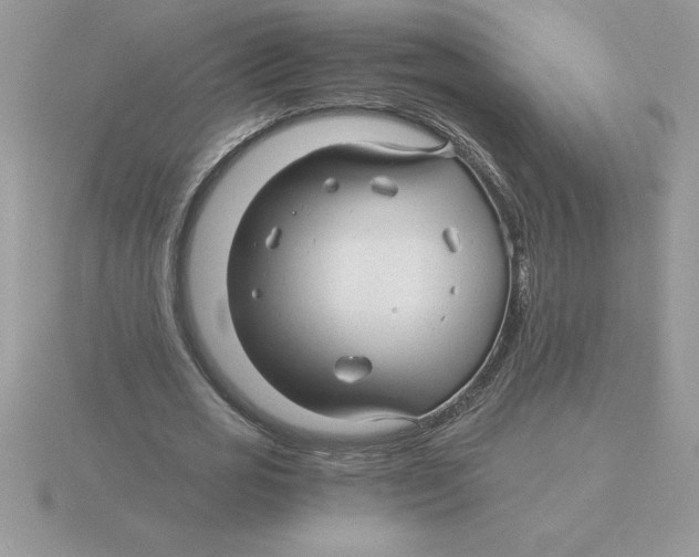 X0000115820725200912111250