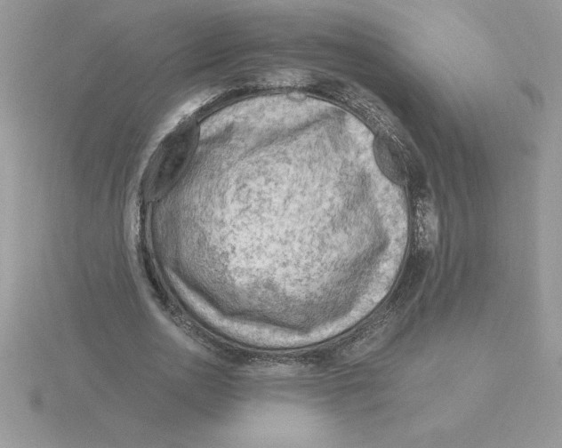 X0000115820726200912111250