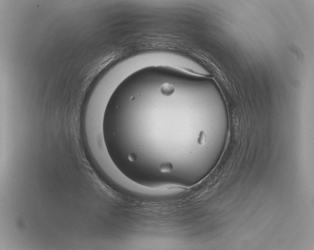 X0000115820729200912111250