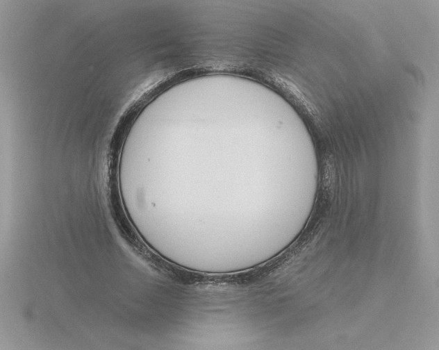 X0000115820730200912111250