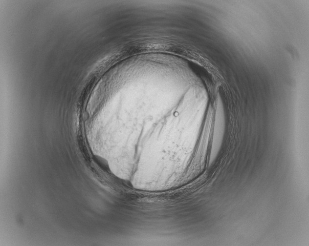 X0000115820733200912111250