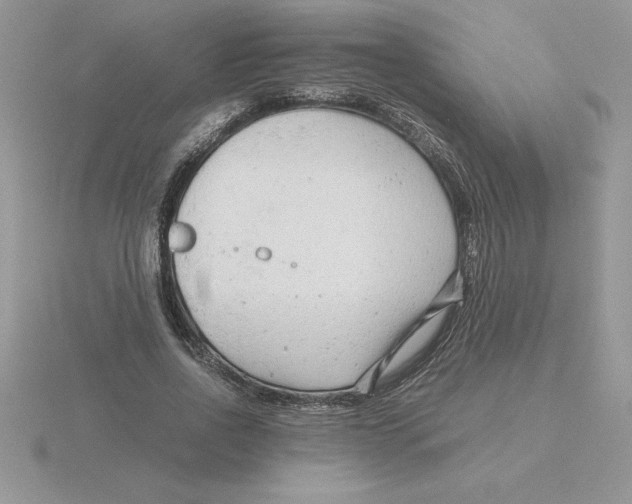 X0000115820734200912111250