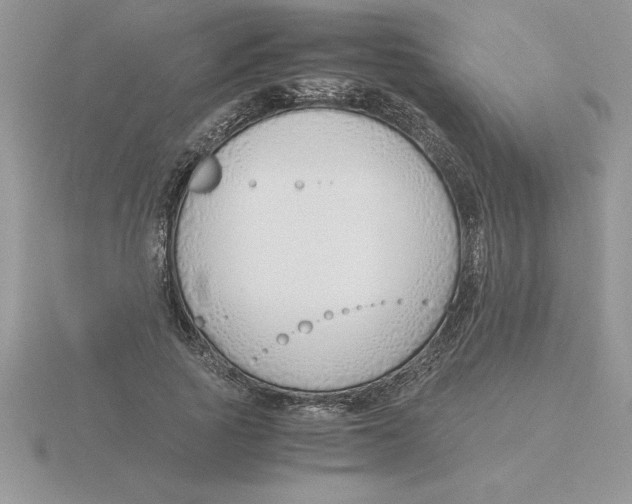 X0000115820737200912111251