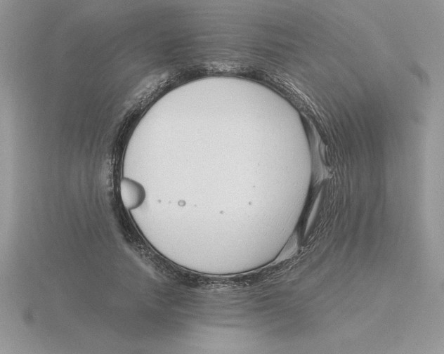 X0000115820738200912111251