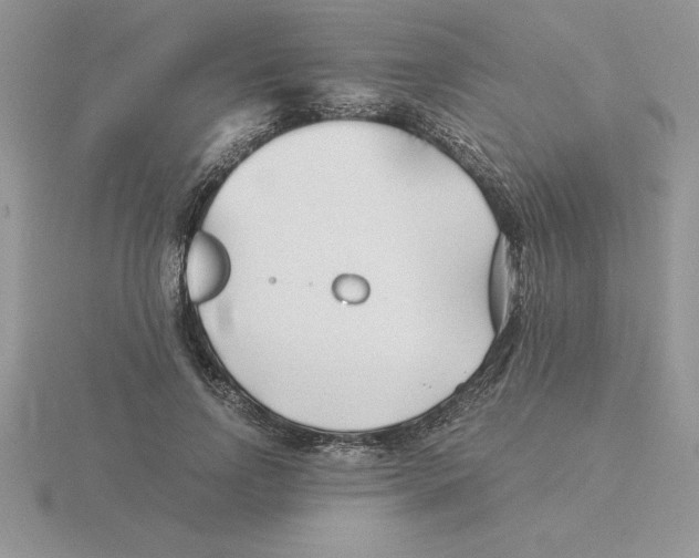 X0000115820742200912111251